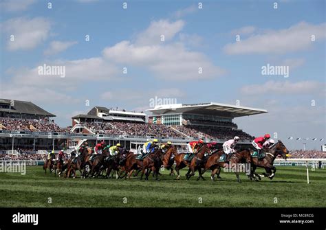 Grand National Runners and Riders .